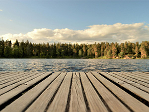 Glad sommar