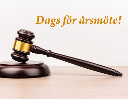 &Aring;rsm&ouml;te prelimin&auml;rt datum till 20/8 kl 13-14